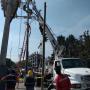 Subido por visitante en 04/05/2018