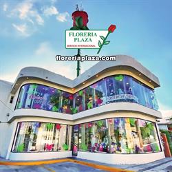Floreria Plaza Lomas