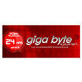 Giga Byte Corp. Seguridad Privada