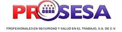 Prosesa
