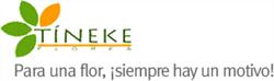 Flores Tineke