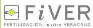 Fiver Fertilizacion in Vitro Veracruz