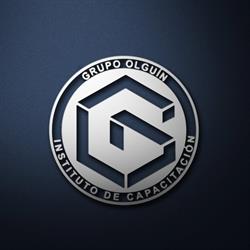Grupo Olguin S.c.