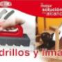 Ladrillos