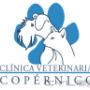 Subido por visitante en 10/12/2015