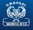 Seguridad Privada Halcon