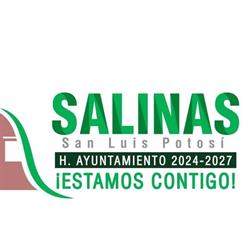 H. Ayuntamiento de Salinas de Hidalgo
