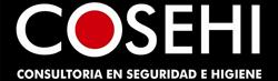 Consultoria en Seguridad e Higiene