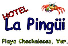 La Pingui Hotel y Mas