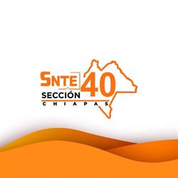 Snte Seccion 40 Informatica