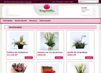 Sitio web de Expresion Floral