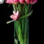 Subido por visitante en 07/05/2017 - Romantica