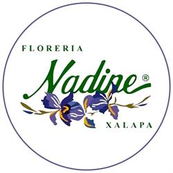 Floreria Nadine Xalapa