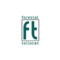 Forestal Tollocan