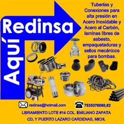 Grupo Redinsa