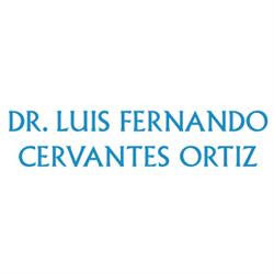 Dr. Luis Fernando Cervantes Ortiz