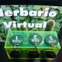 Herbario Virtual F&a (proximamente)