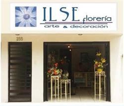Ilse Floreria