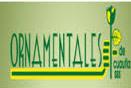 Ornamentales de Cuautla S de SS