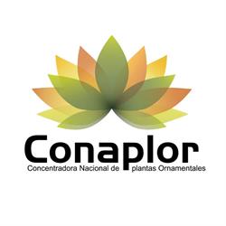 Conaplor Spr de rl