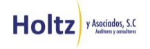 Holtz y Asociados, S.c.