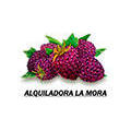 Alquiladora La Mora