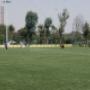 Campo 11