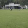 Campo 12