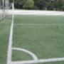 Campo 2
