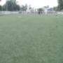 Campo 6