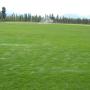 Campo