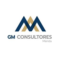 Gm Consultores