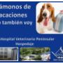 Subido por visitante en 13/01/2016 - Hospital Veterinario Peninsular