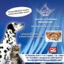 Subido por visitante en 13/01/2016 - Hospital Veterinario Peninsular