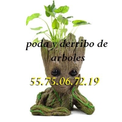Jardineria Xochimilco