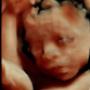 Subido por visitante en 16/03/2017