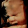 Subido por visitante en 02/04/2017