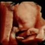Subido por visitante en 03/08/2016