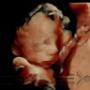 Subido por visitante en 03/08/2016
