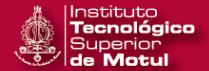 Instituto Tecnologico Superior de Motul
