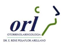 Peñaflor Arellano E. René Dr.