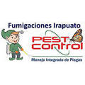 Pest Control
