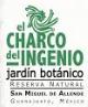 Jardin Botanico El Charco Del Ingenio