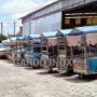Subido por visitante en 02/02/2017