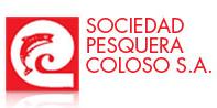 Comercializadora Coloso S.a. de C.v.