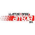 Llantas Y Rines Arreola