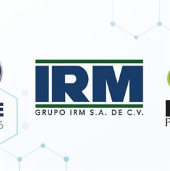 Grupo Irm, S.a. de C.v.