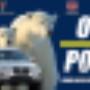 Subido por visitante en 19/11/2015 - lona de autoclimas oso polar