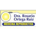 Dra. Rosario Ortega Ruiz