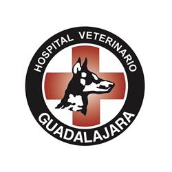 Hospital Y Clínica Veterinaria Guadalajara